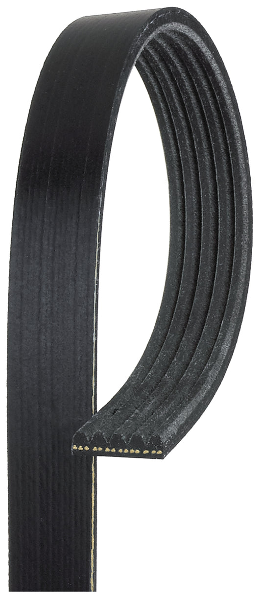 RPM High Performance Micro-V Serpentine Drive Belt, FD3S