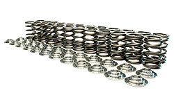 Valve Spring Set, R32-R34