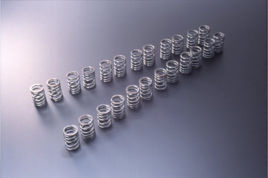 Reinforced Valve Spring Set, R32-R34